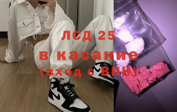 прущие грибы Алзамай